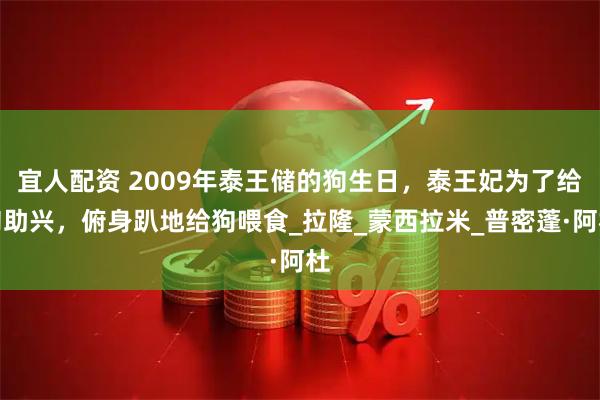 宜人配资 2009年泰王储的狗生日,泰王妃为了给狗助兴,俯身趴地给狗喂食_拉隆_蒙西拉米_普密蓬·阿杜
