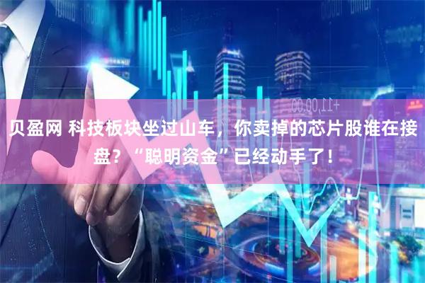 贝盈网 科技板块坐过山车，你卖掉的芯片股谁在接盘？“聪明资金”已经动手了！