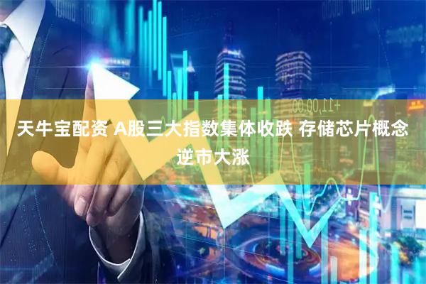 天牛宝配资 A股三大指数集体收跌 存储芯片概念逆市大涨